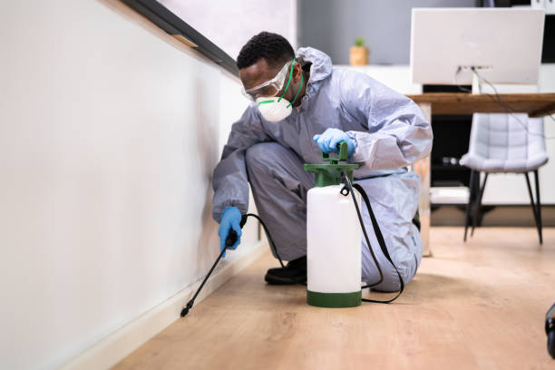 Best Pest Prevention Services  in St Andrews, SC